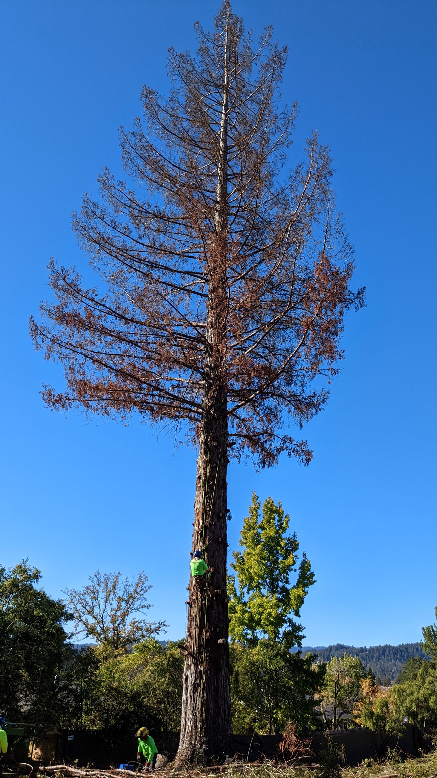 PXL_20221024_173441932