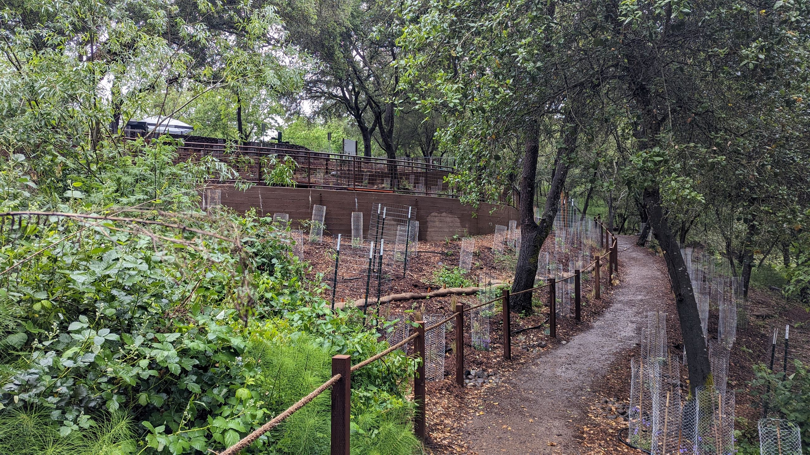 Fitch Mountain Access