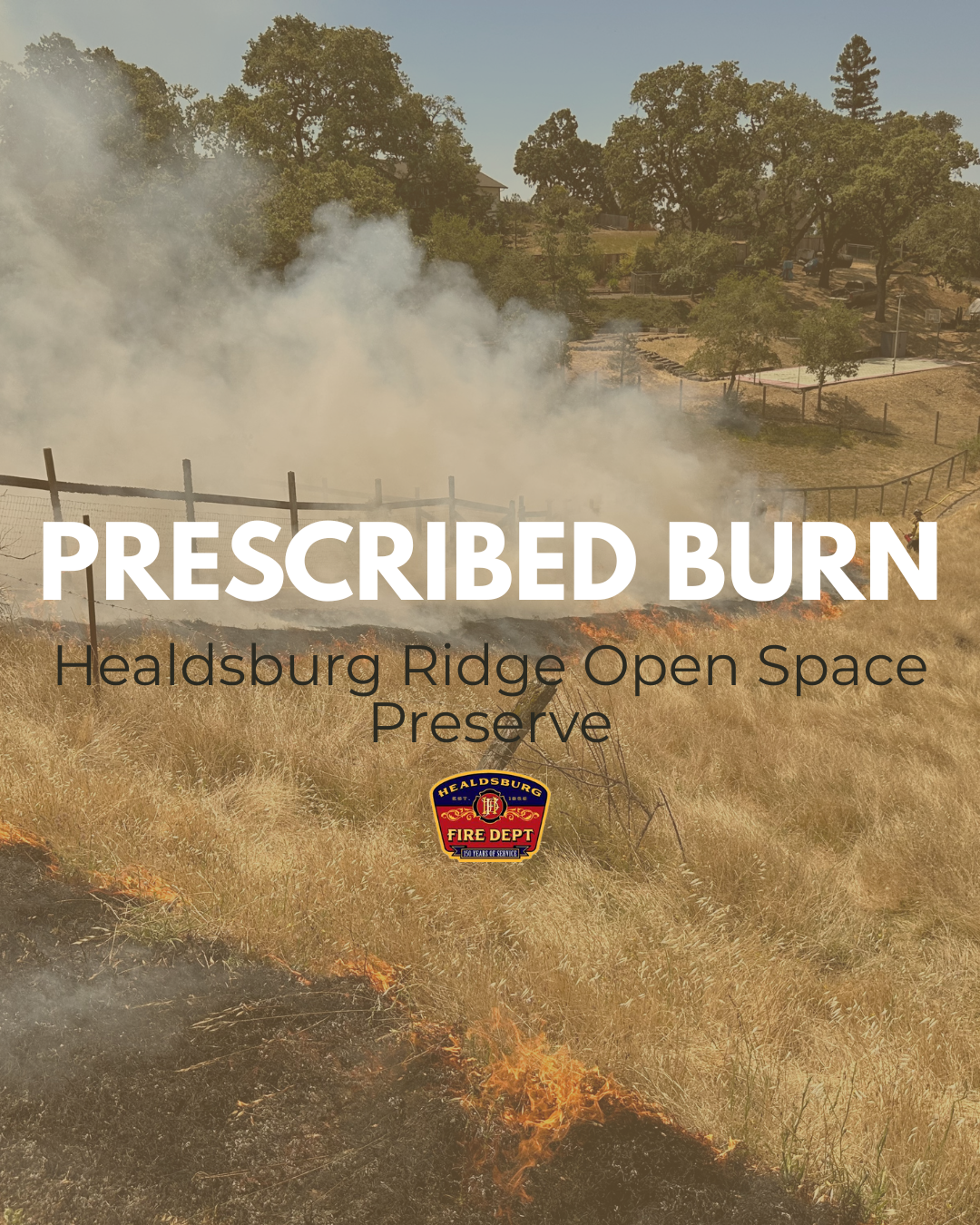 A hill side lightly burning during a prescribed burn. 