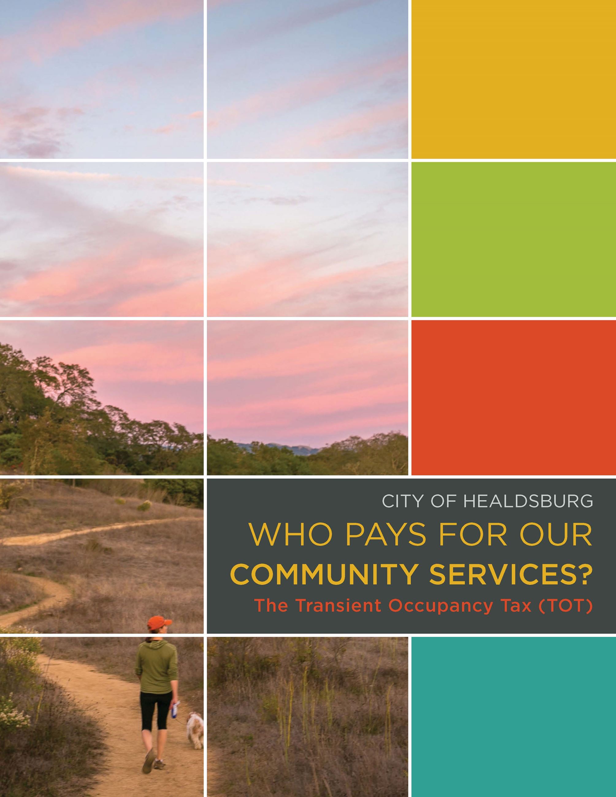 Transit Occupancy Tax Brochure Cover